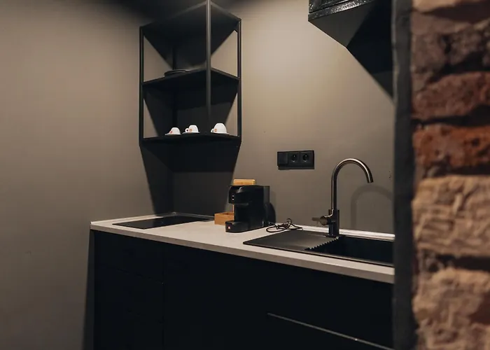 Opletalova Διαμέρισμα Πράγα